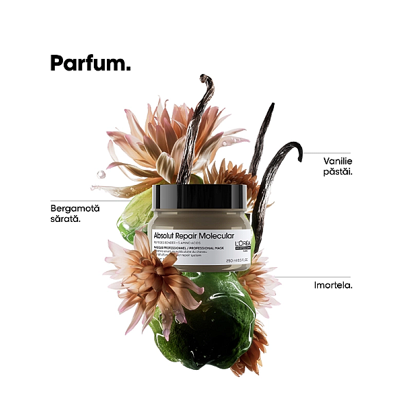 Masca concentrata pentru par deteriorat serie expert absolut repair molecular