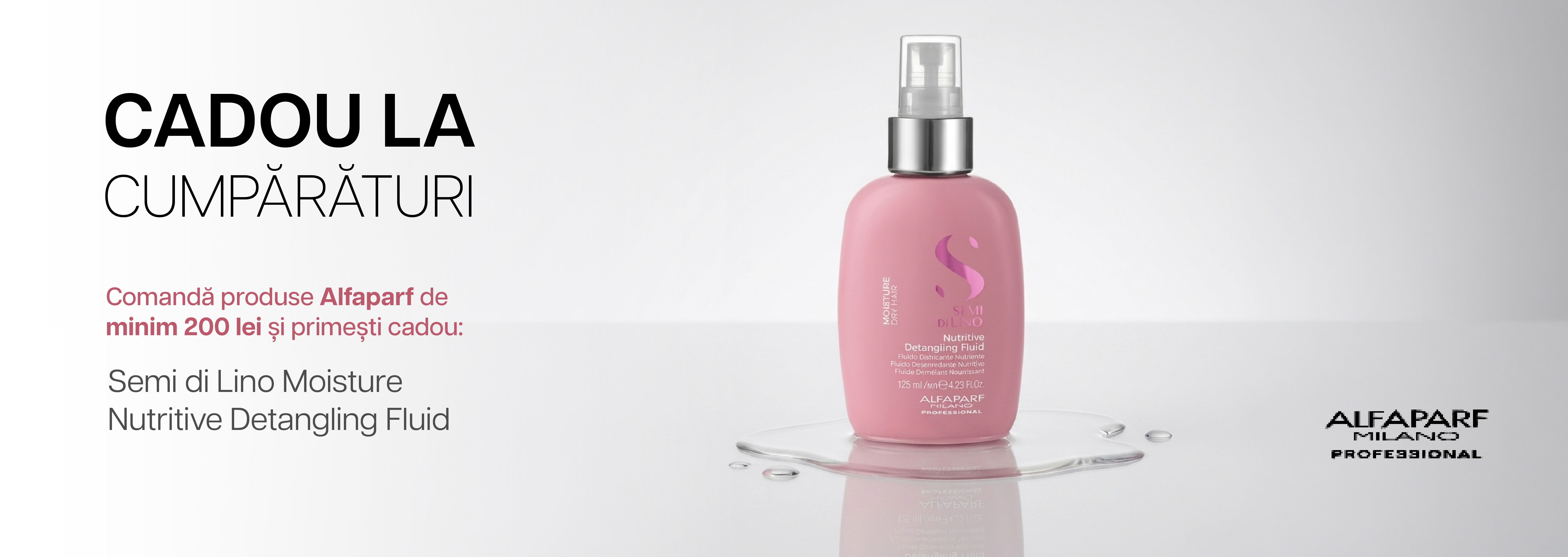 Salon Provider