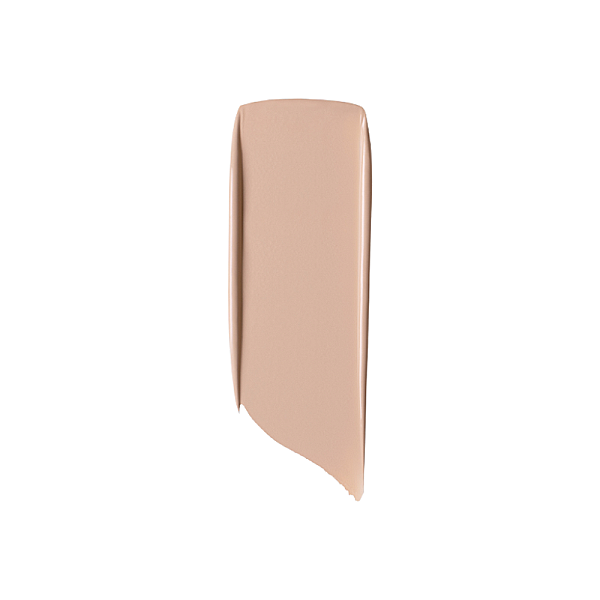 Fond de ten perfect coverup hd 