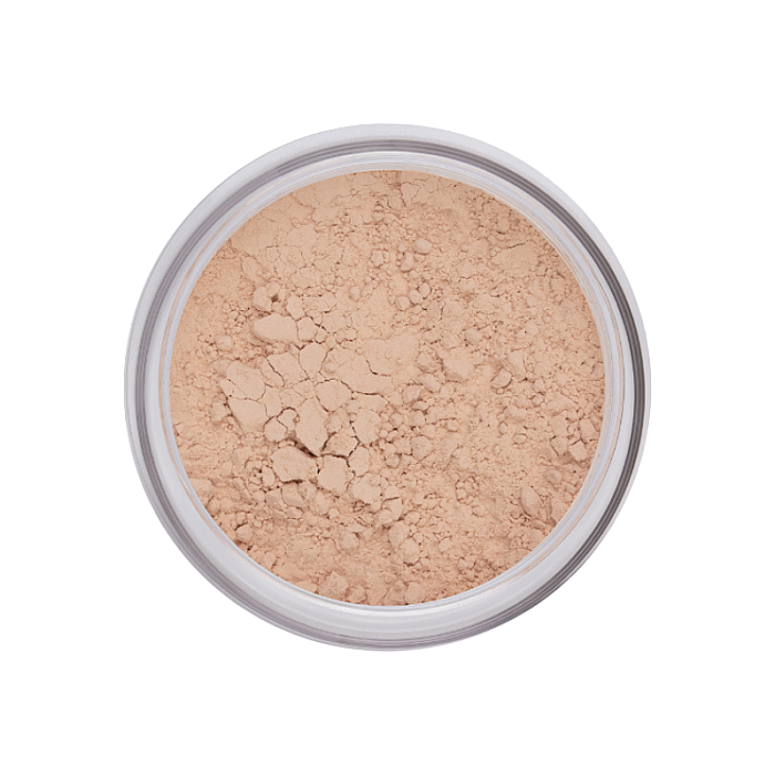 Pudra pulbere Perfect Finish 