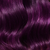 Viola - Violet