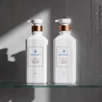 Sampon hidratant pentru par deteriorat si fara volum Professional Shampoo