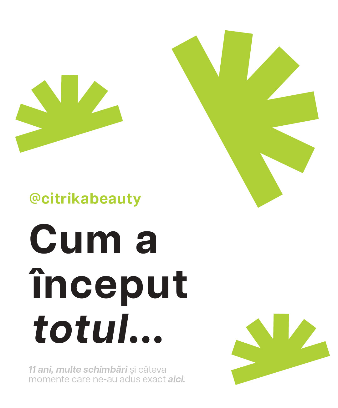 cum a inceput povestea Salon Provider